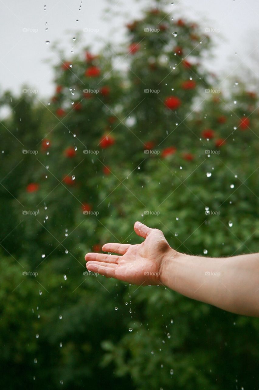 Hand in the rain