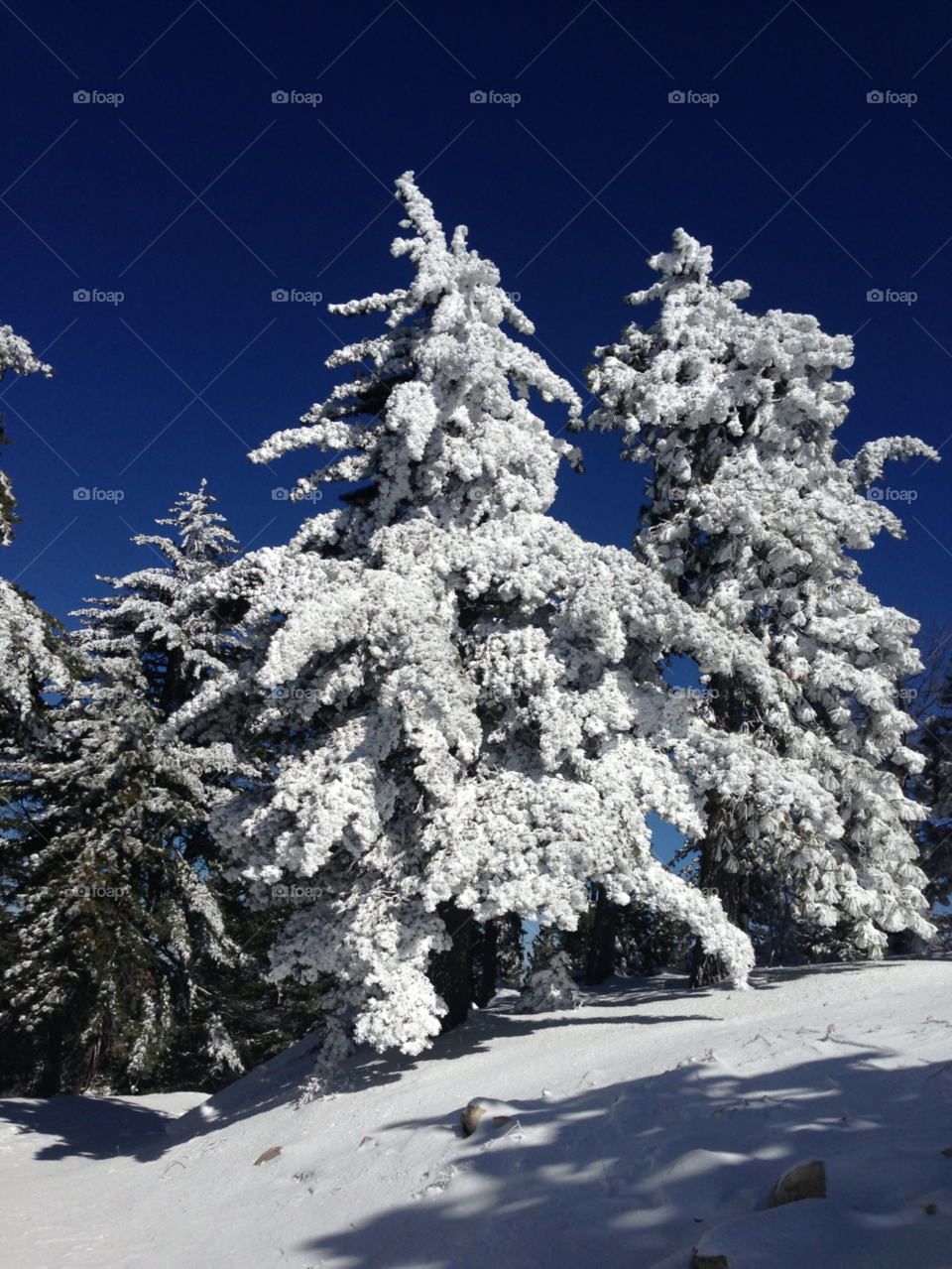 san bernardino mountains snow winter pretty by _tay