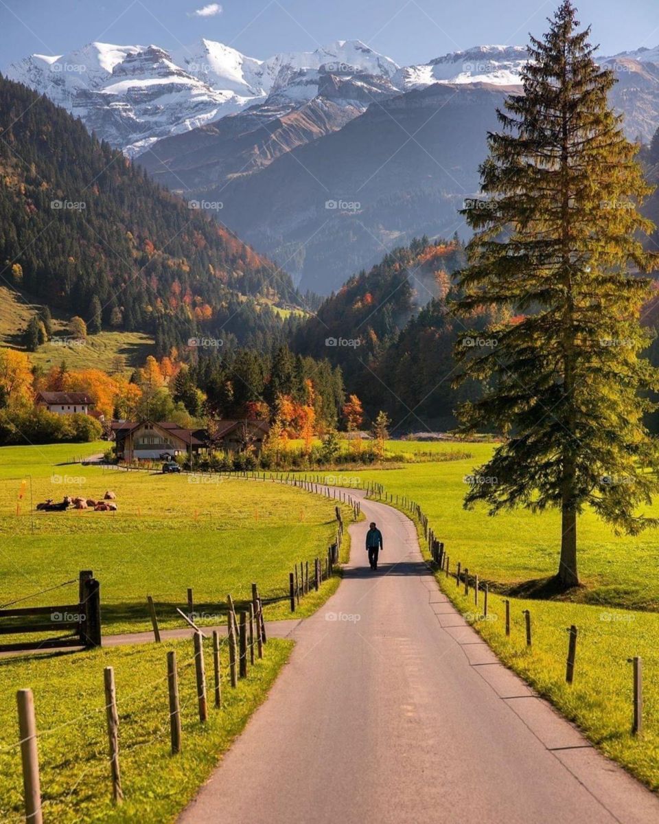 Switzerland 
