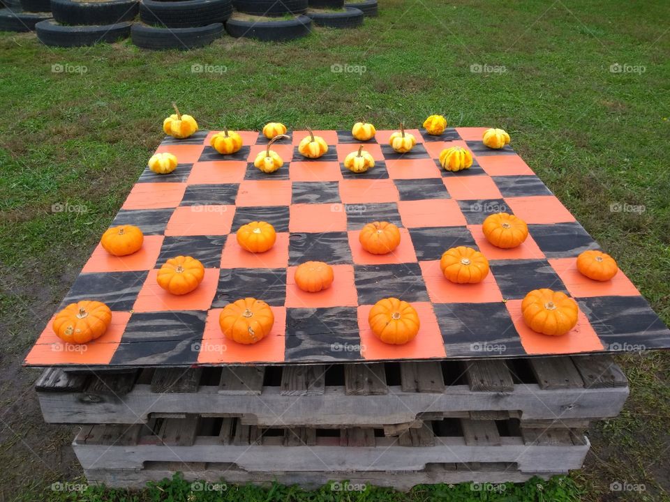 pumpkin checkers. yes, the two sides should be on the same color.