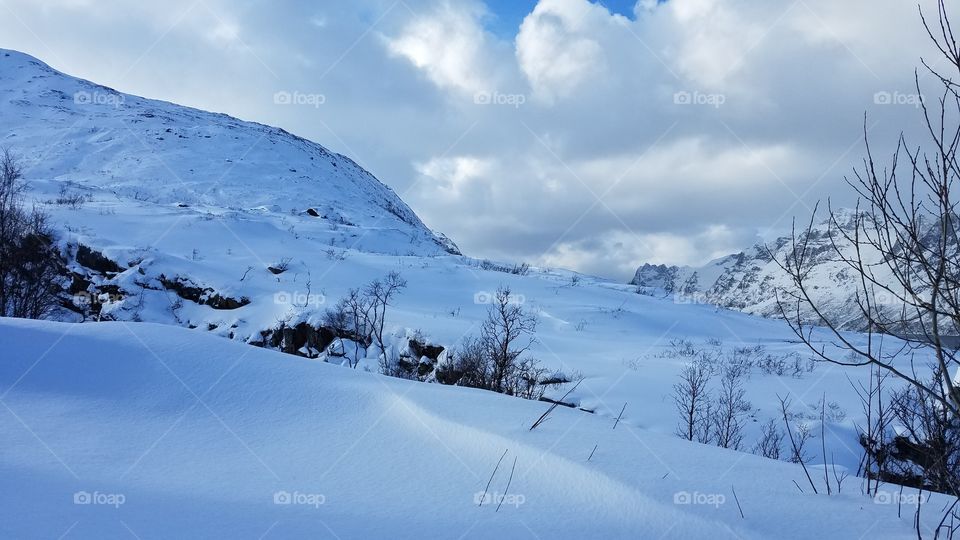 White winter landscapes