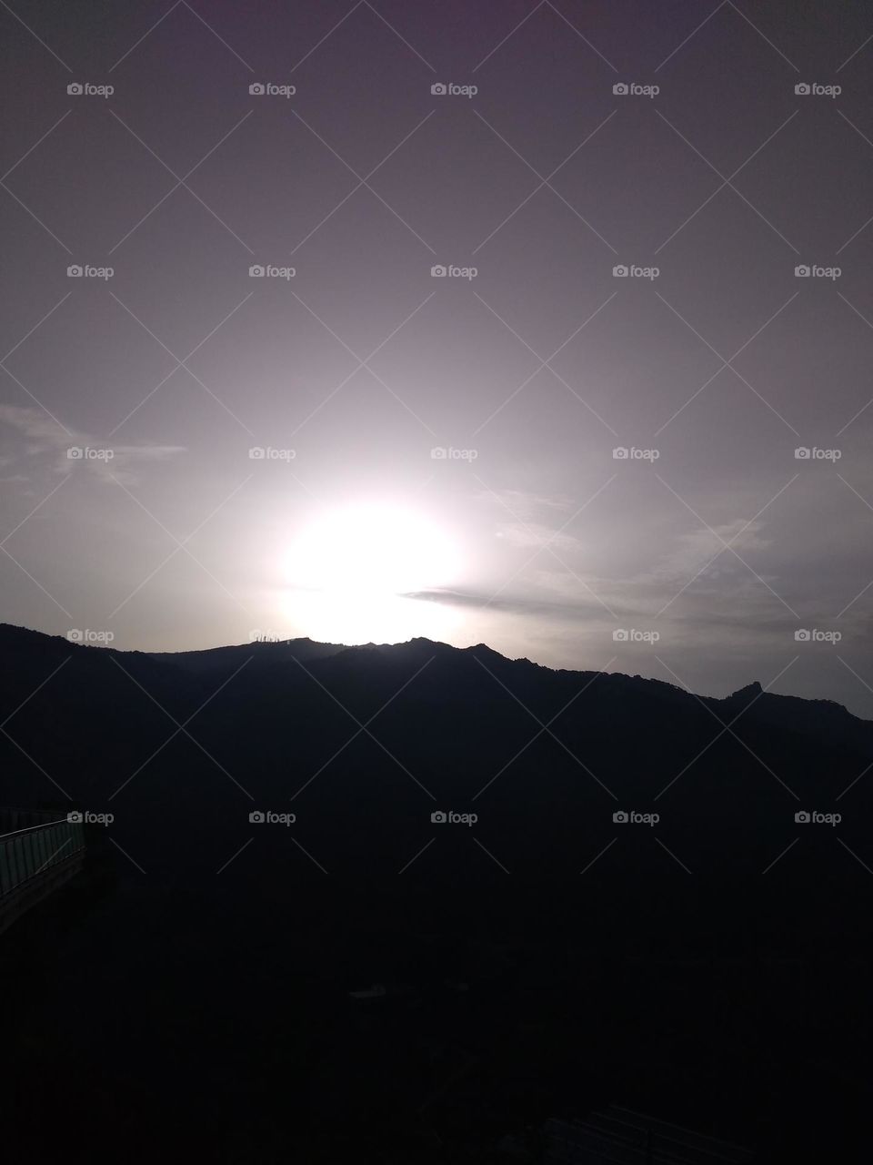 Editors' Choice - Photo of the Week