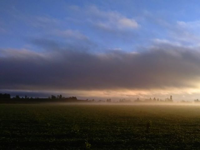 Foggy Sunrise on country landscape
