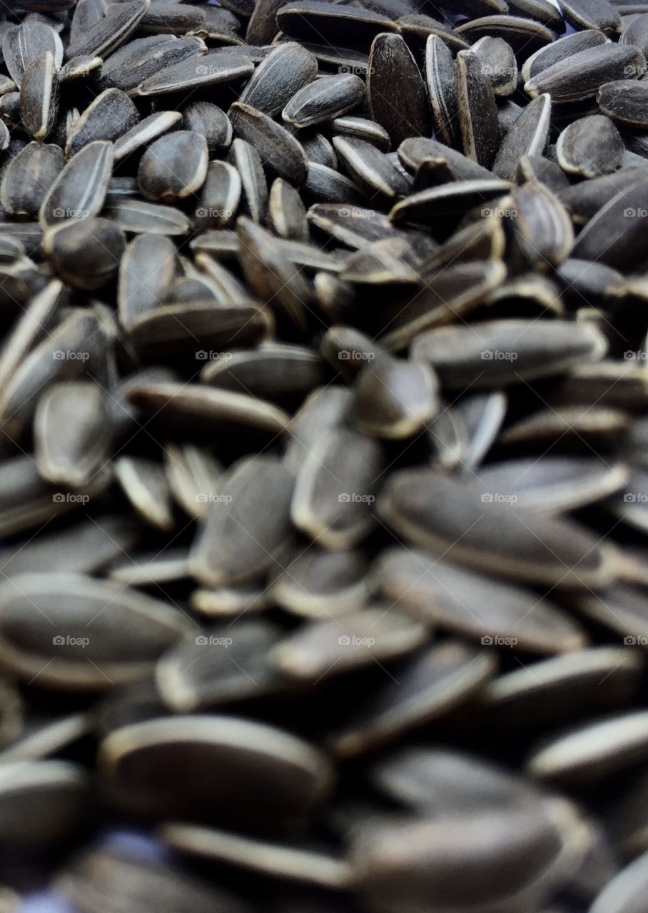 sunflower seed