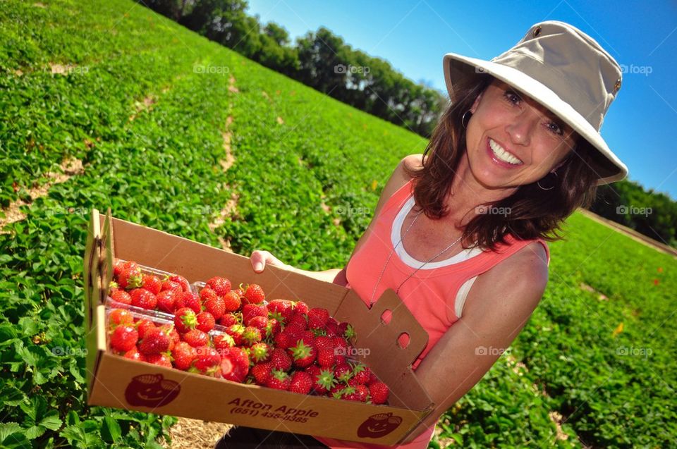 The Strawberry Patch