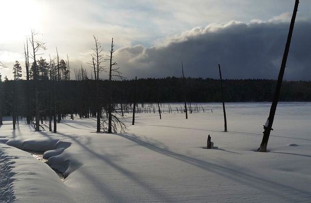 Winter shadows
