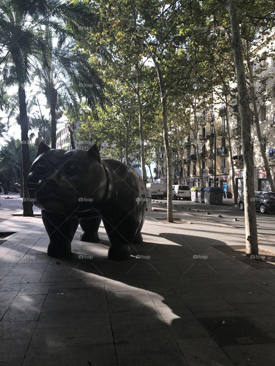 Big Kitty Barcelona 