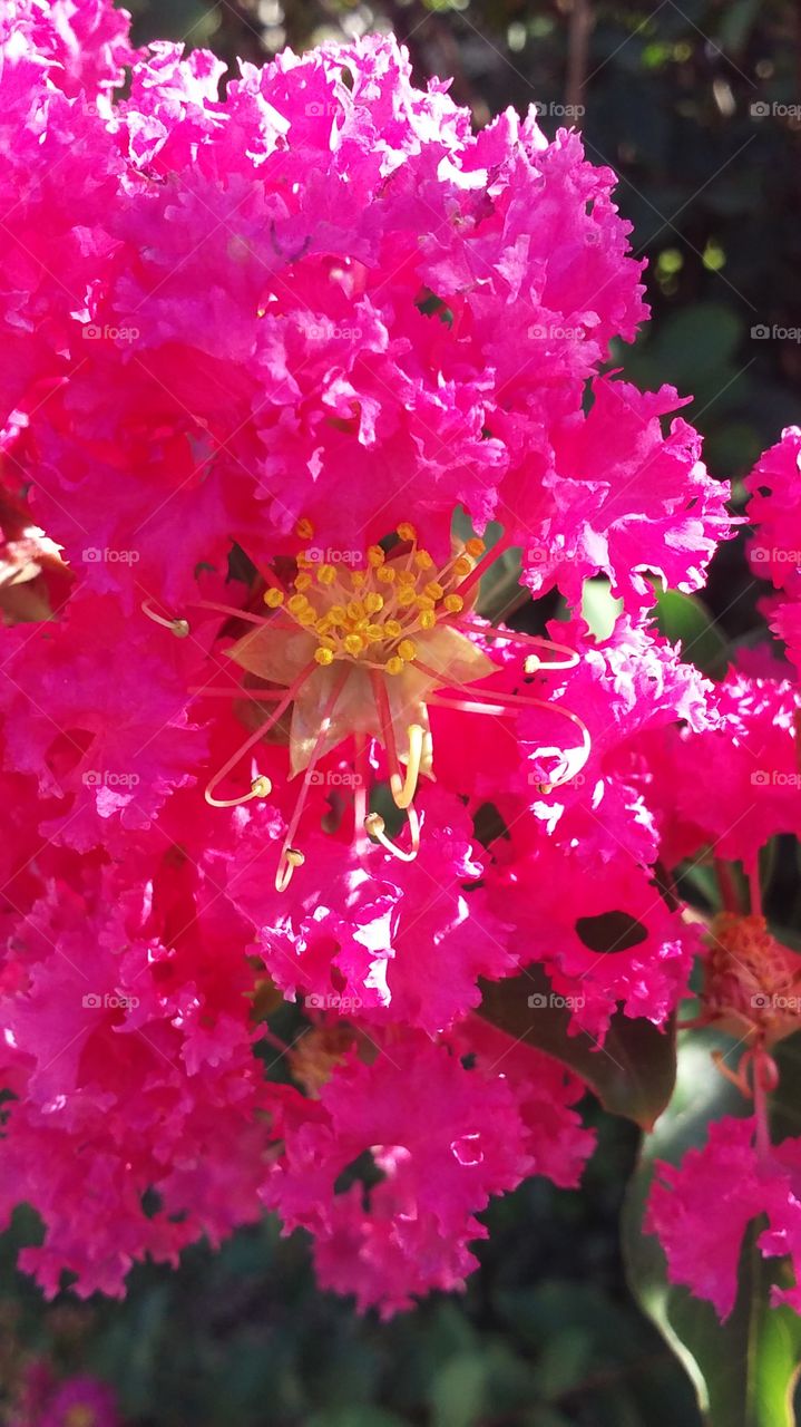 Beautiful floral - no edit