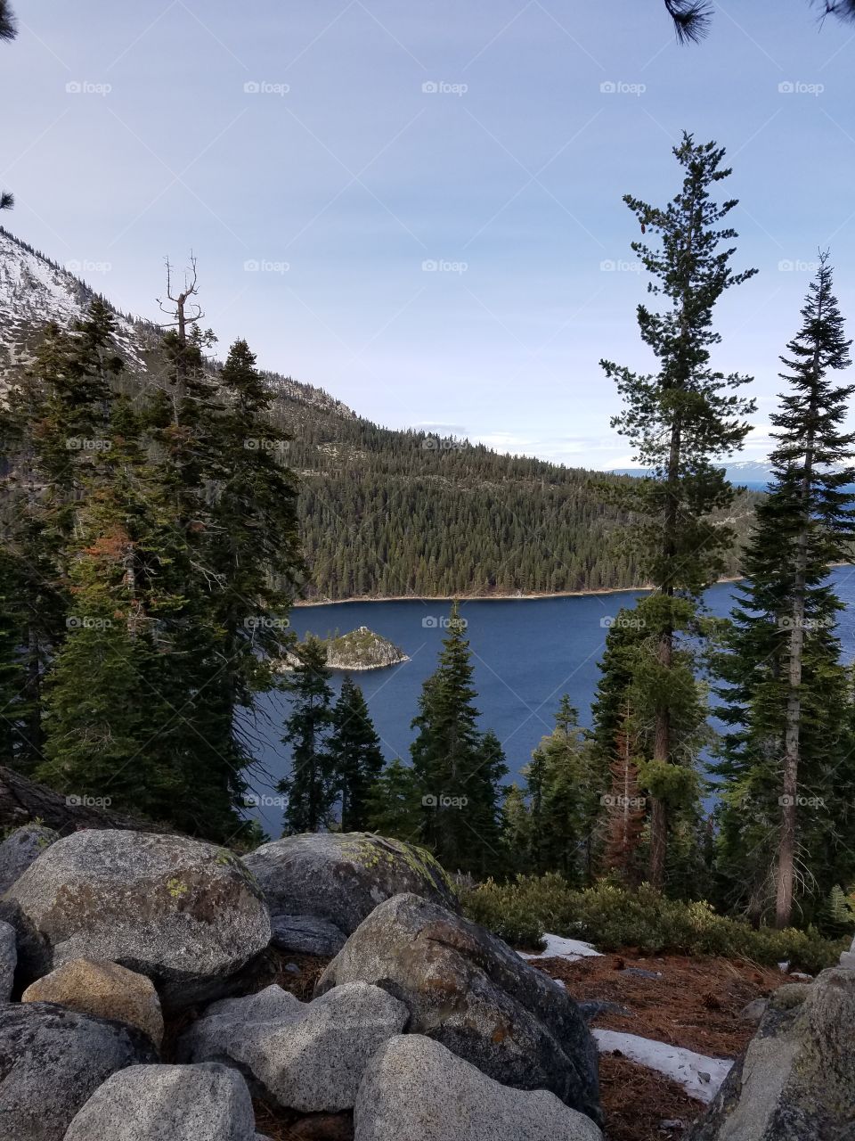 Scenic view of lake and forest