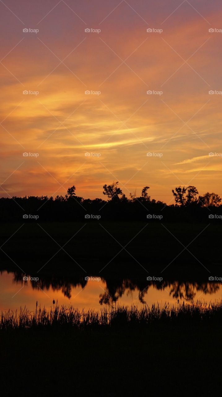 Pond at dusk