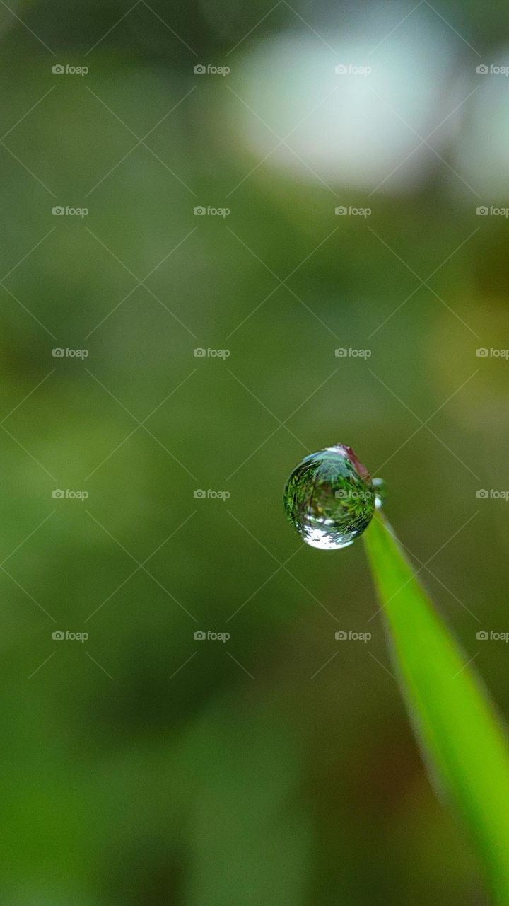 Water Drop or glass ball !