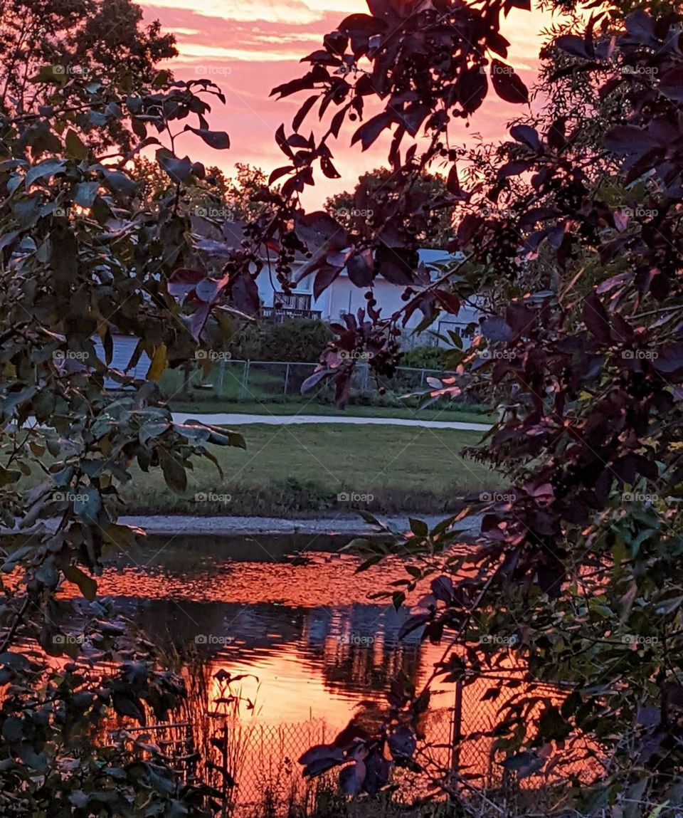 sunset over the pond