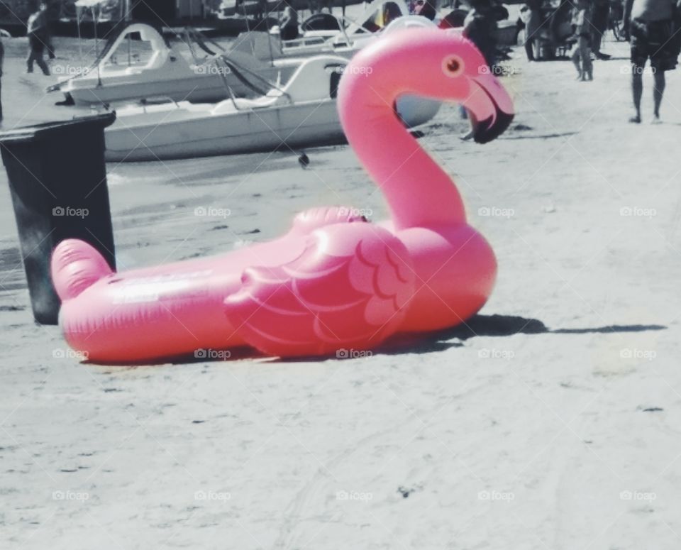 Pink Floatie