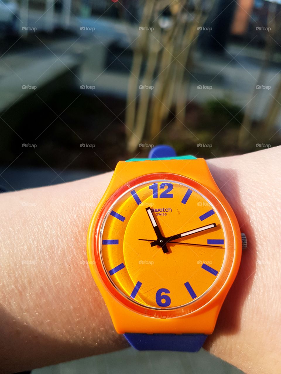 swatch