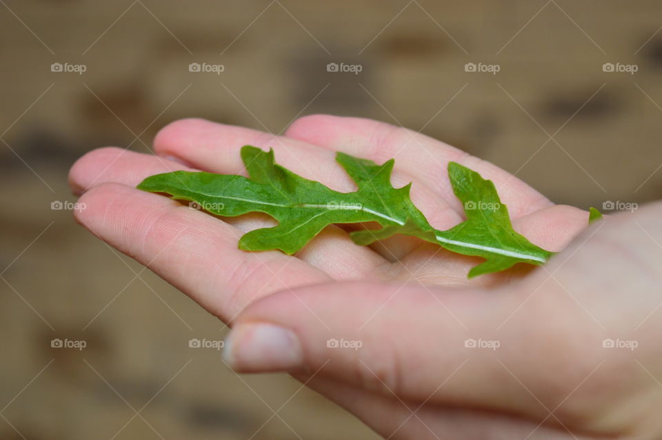 Holding food