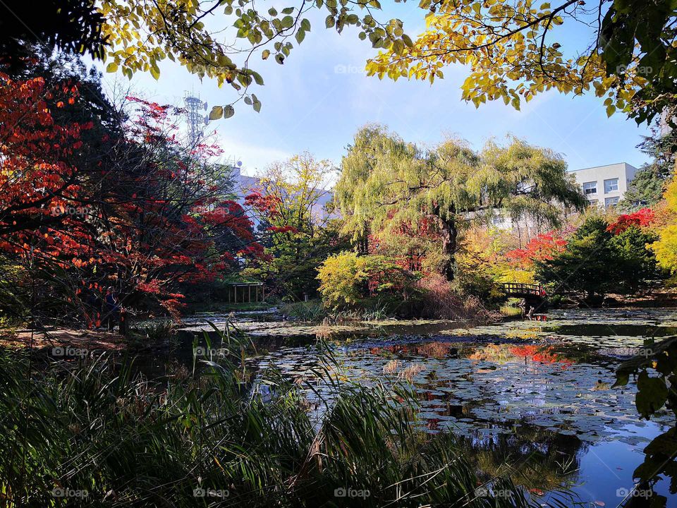 Beautiful in the garden