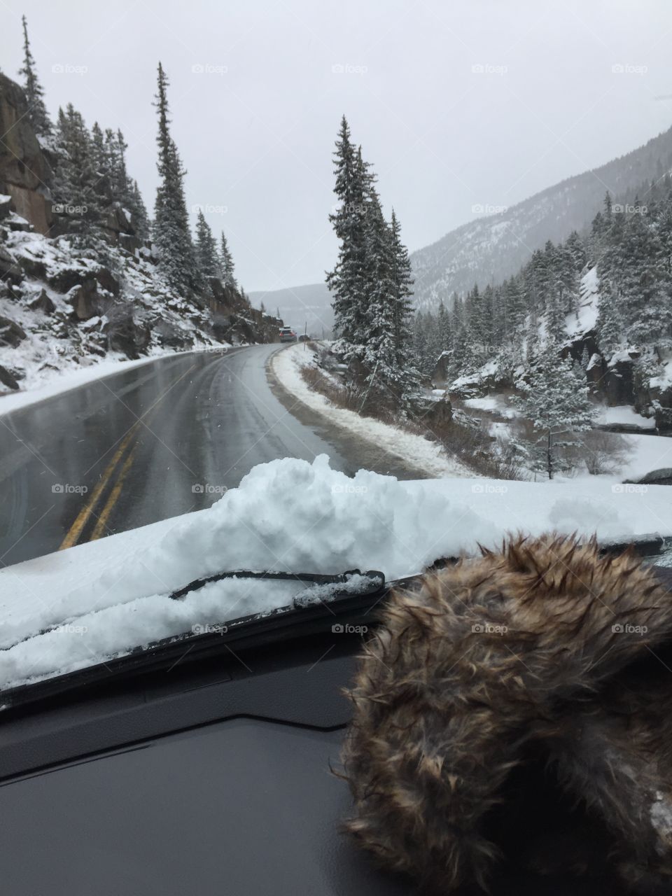 Snowy Wolf Creek Pass