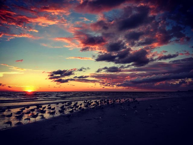 A perfect sunset 