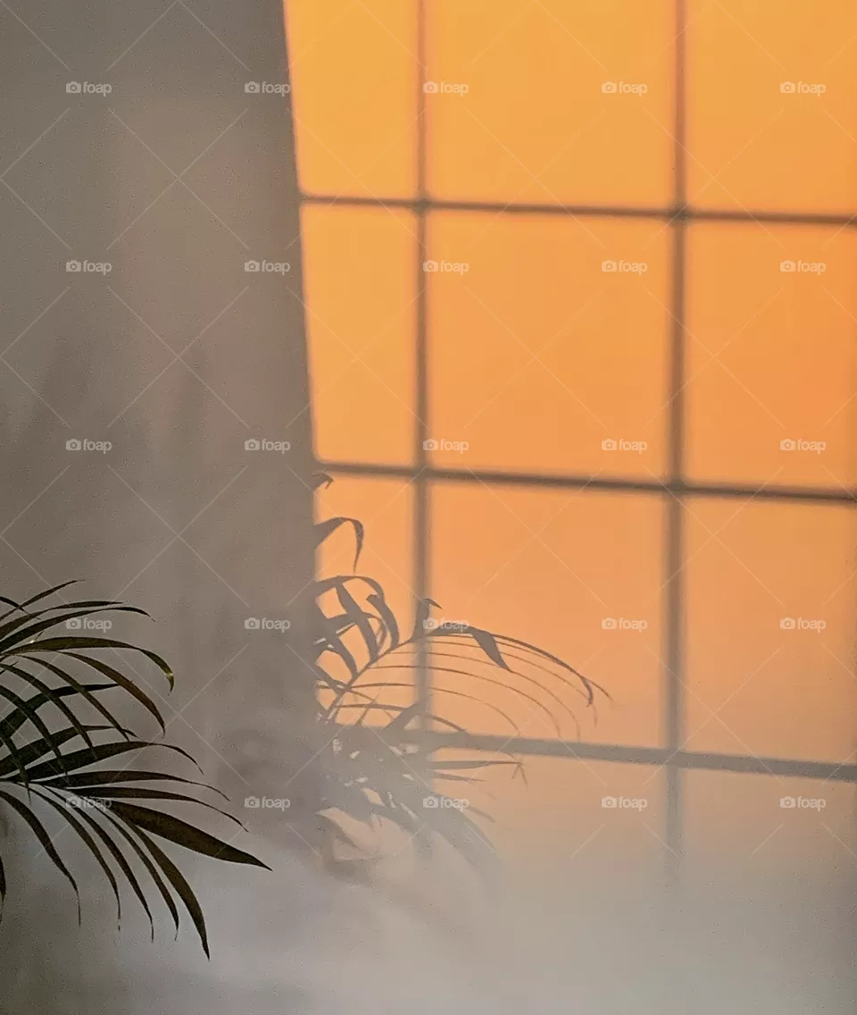 Window Shawdow