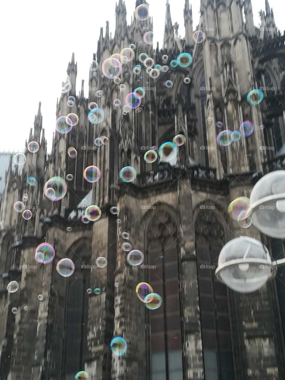 Bubbels at Dom