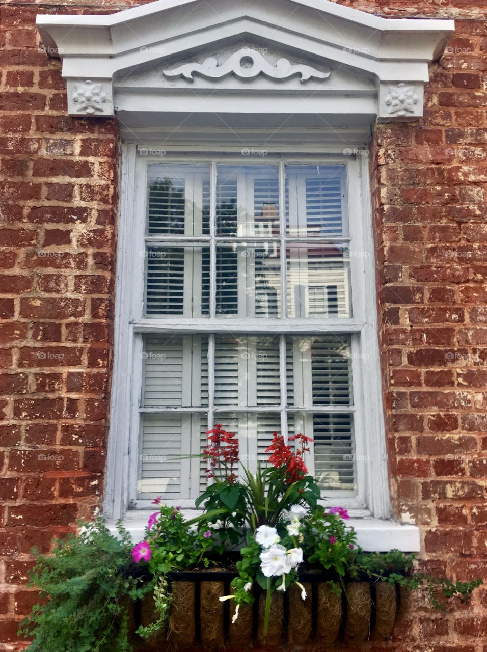 Foap Mission Crazy Plant People! Colorful Flowers in a Window Box on A Red Brick Wall!