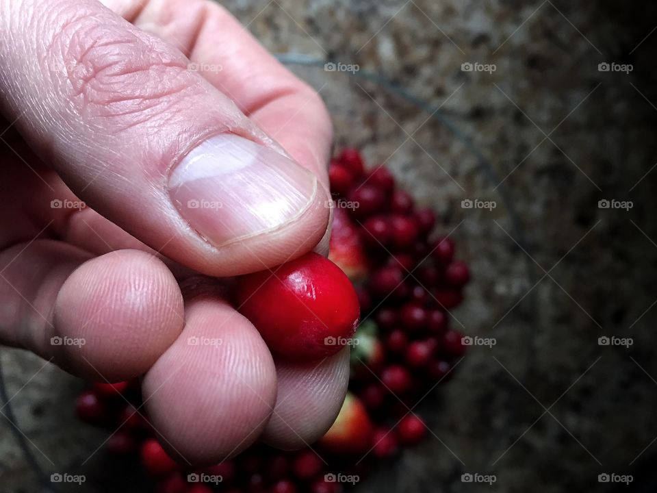 Delicious berries