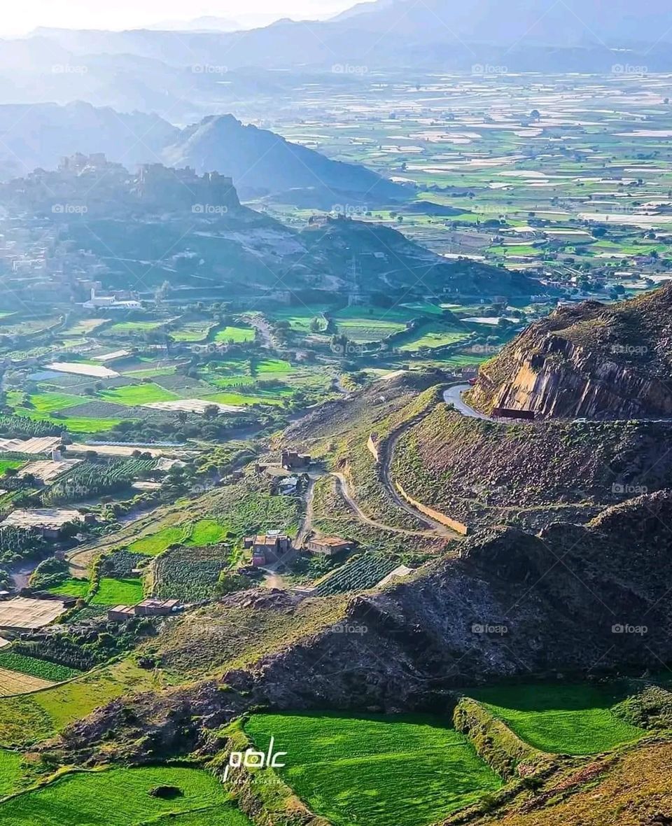 A very beautiful picture, and there is no better picture than it. There is no better picture of green herbs and colorful, red and white roses than it. Glory be to God, the natural and picturesque view, and there is no more