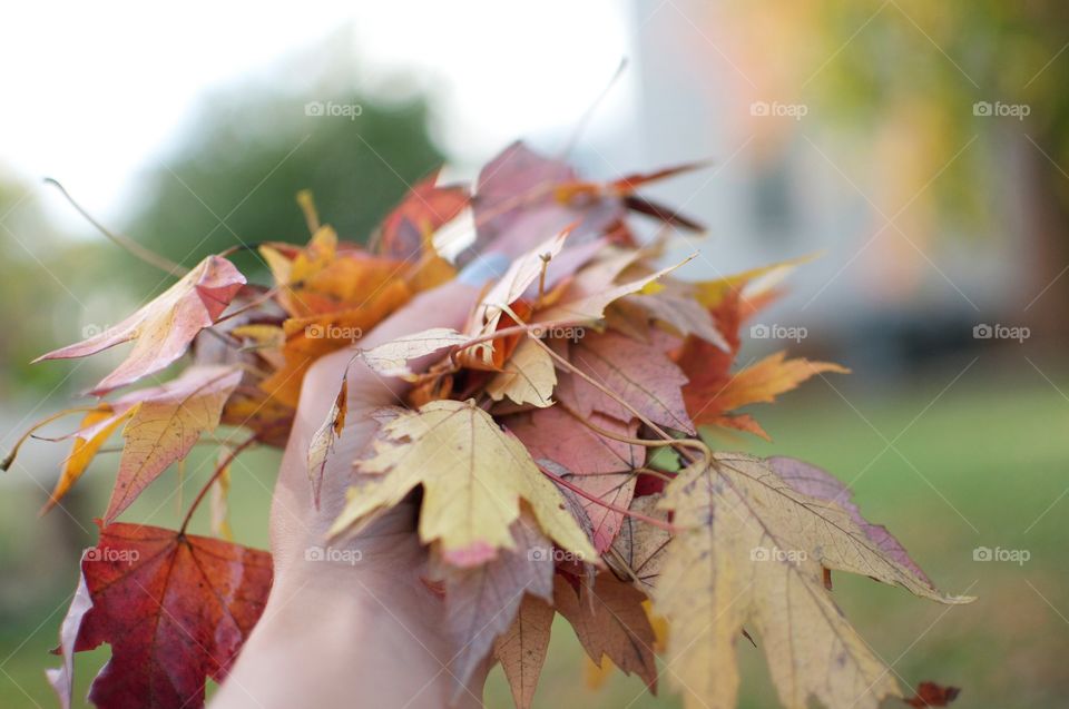 Fall in the hands of a girl 