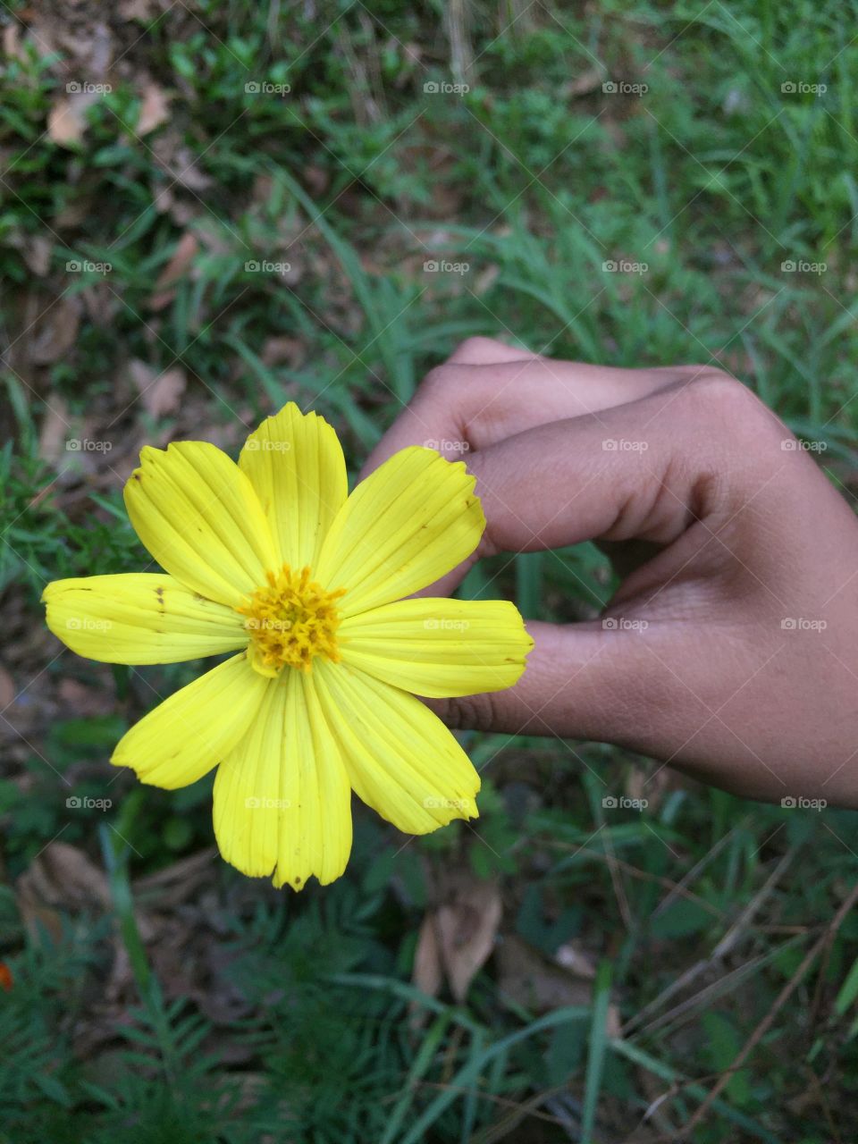 Holding flower 