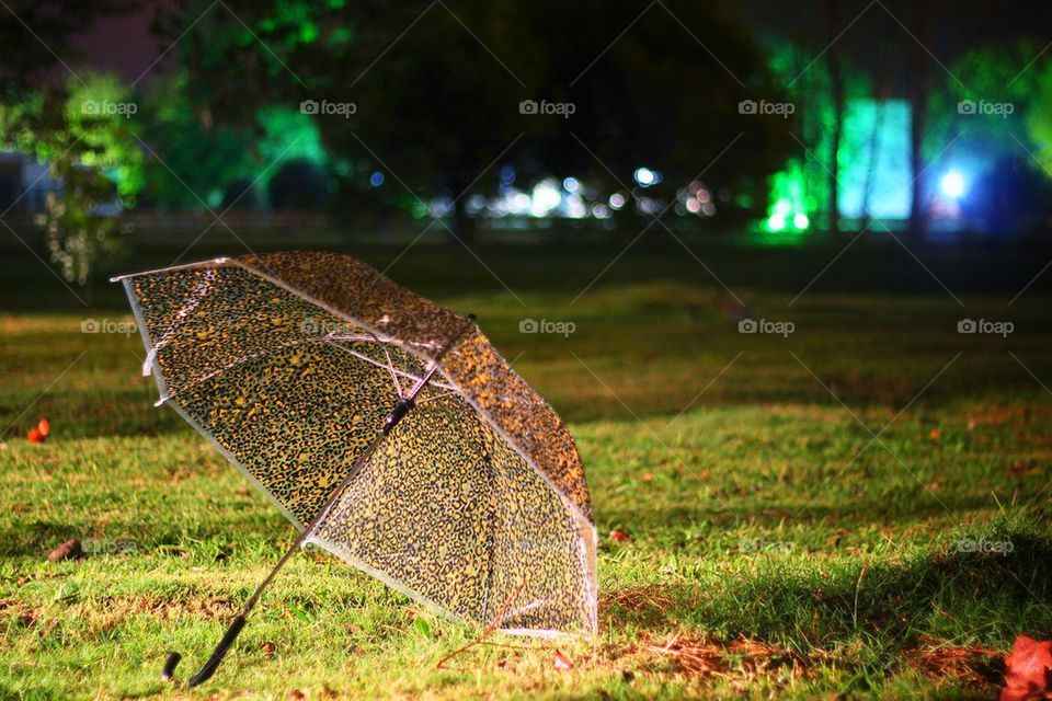 Umbrella in the night