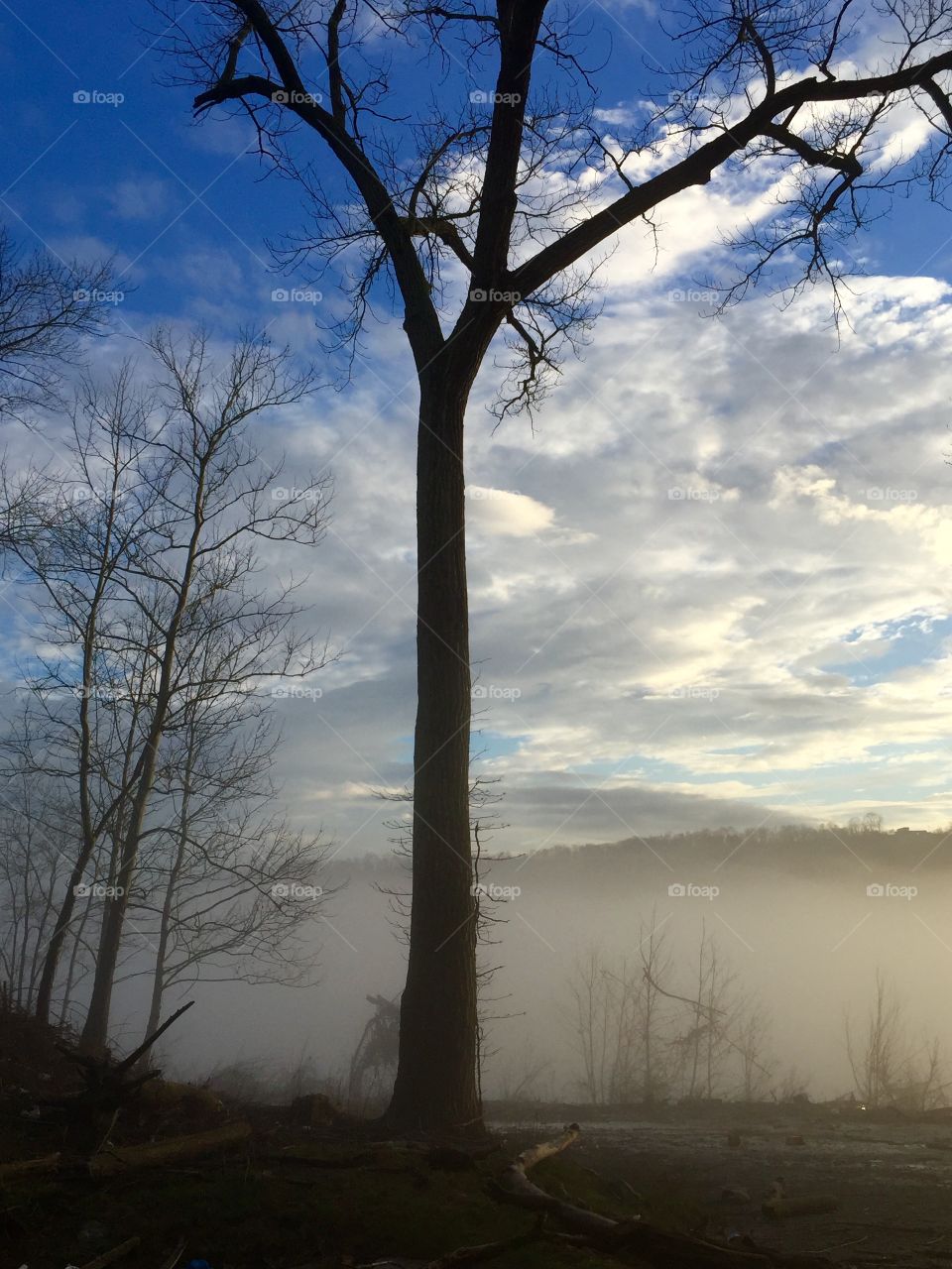 Fog by the Ohio River 
