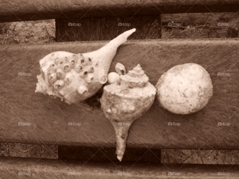 Treasures Come In Threes (Series)