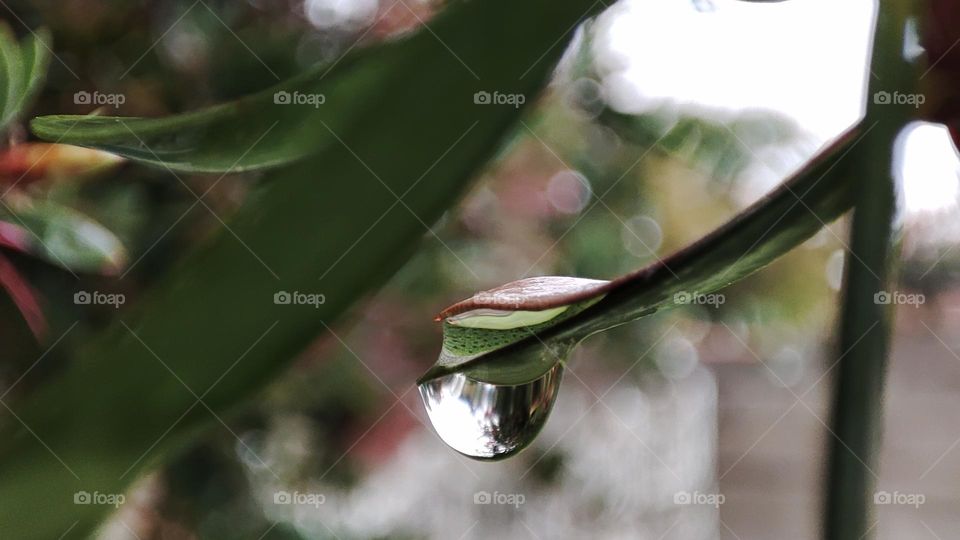 Droplet