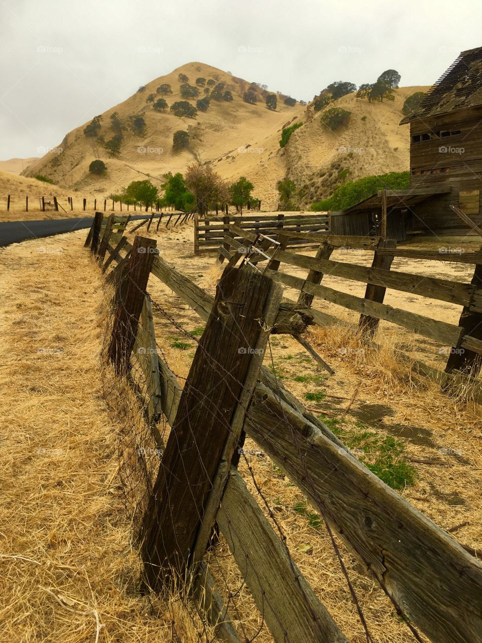 Scenic view of dry mountain