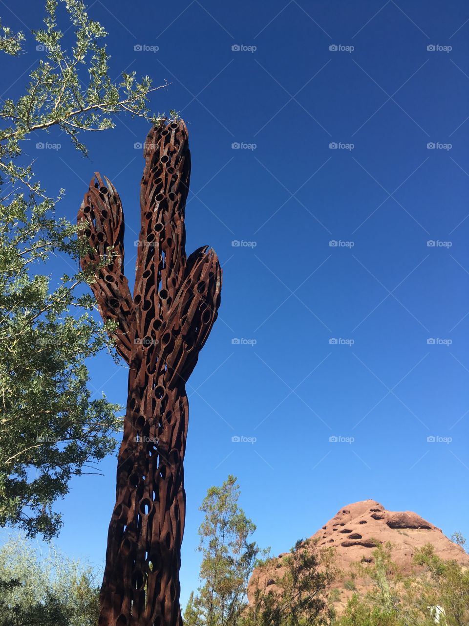 Cactus sculpture 