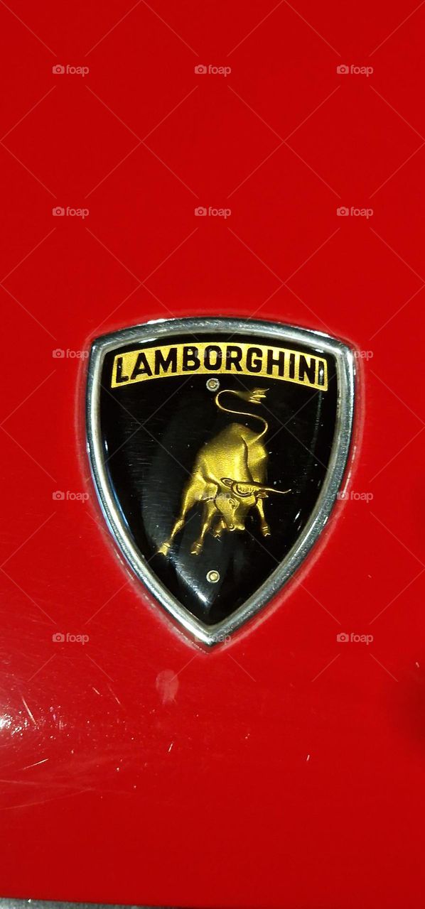 Lamborghini emblem
