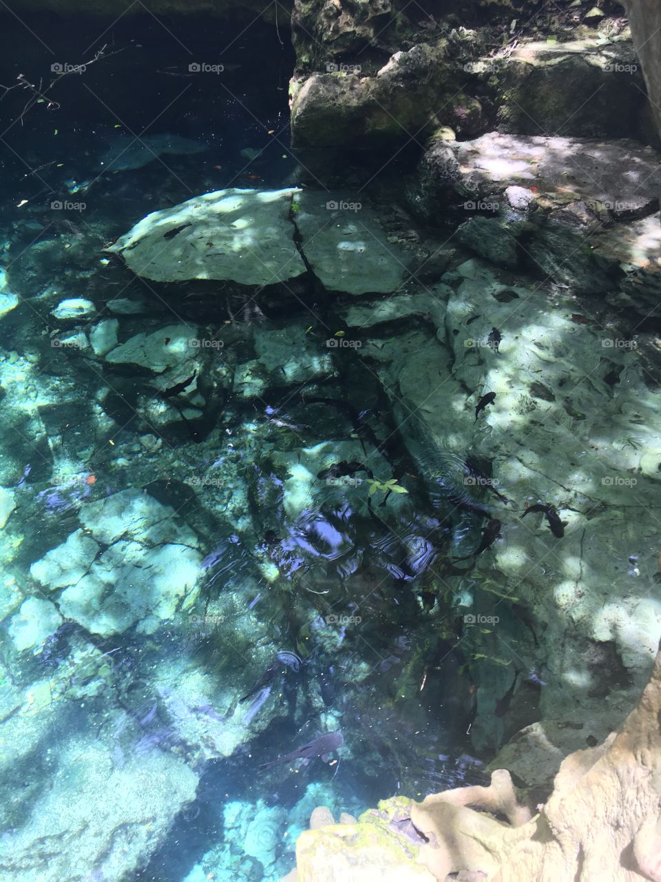 Cenote azul 