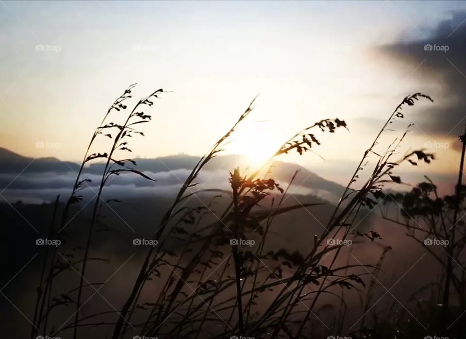 Sunsetting