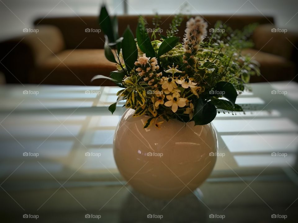 Close-up of potted plant