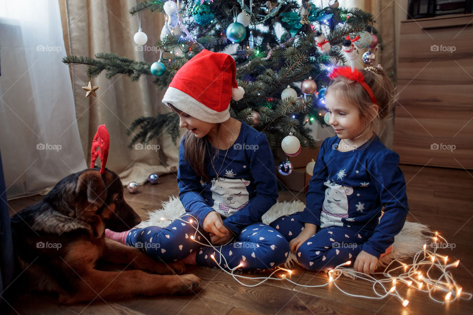 Little sisters with the puppy near Christmas tree