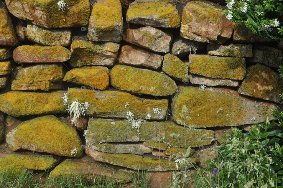Lichen and Moss Stone Wall