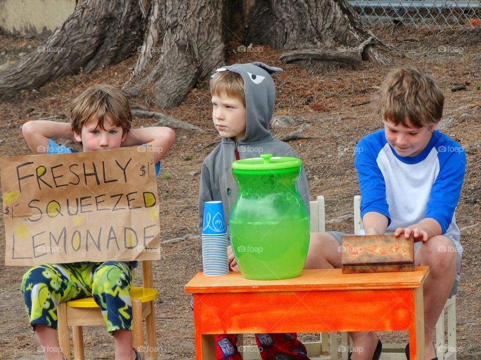 Family Lemonade Stand. Young Brothers Selling Homemade Lemonade

