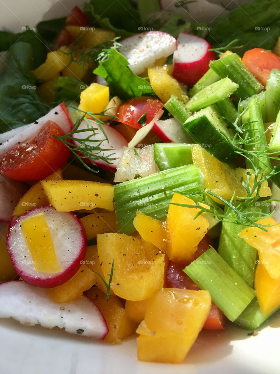 Garden Salad. Fresh veggies. 