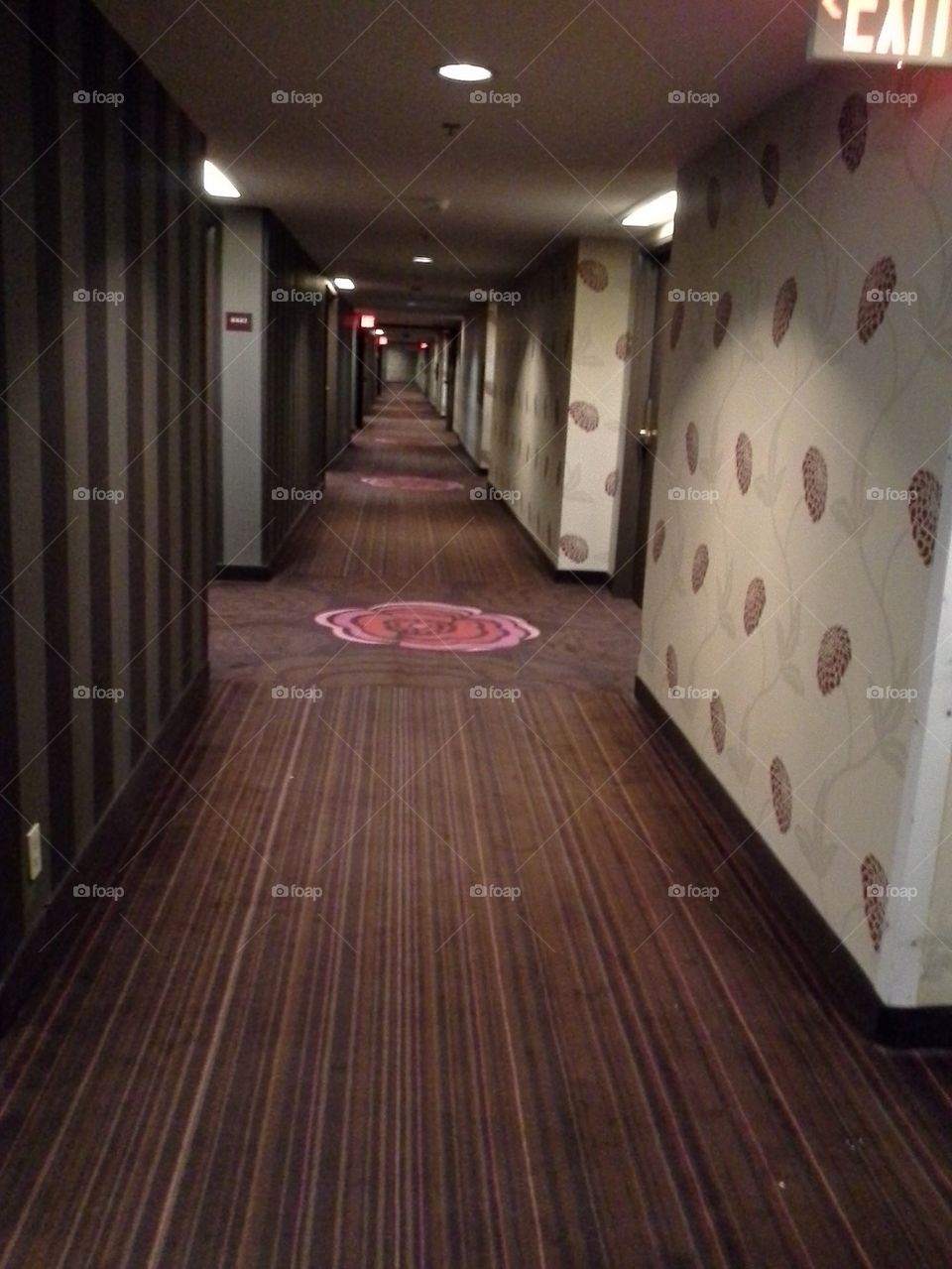 Long Hallway