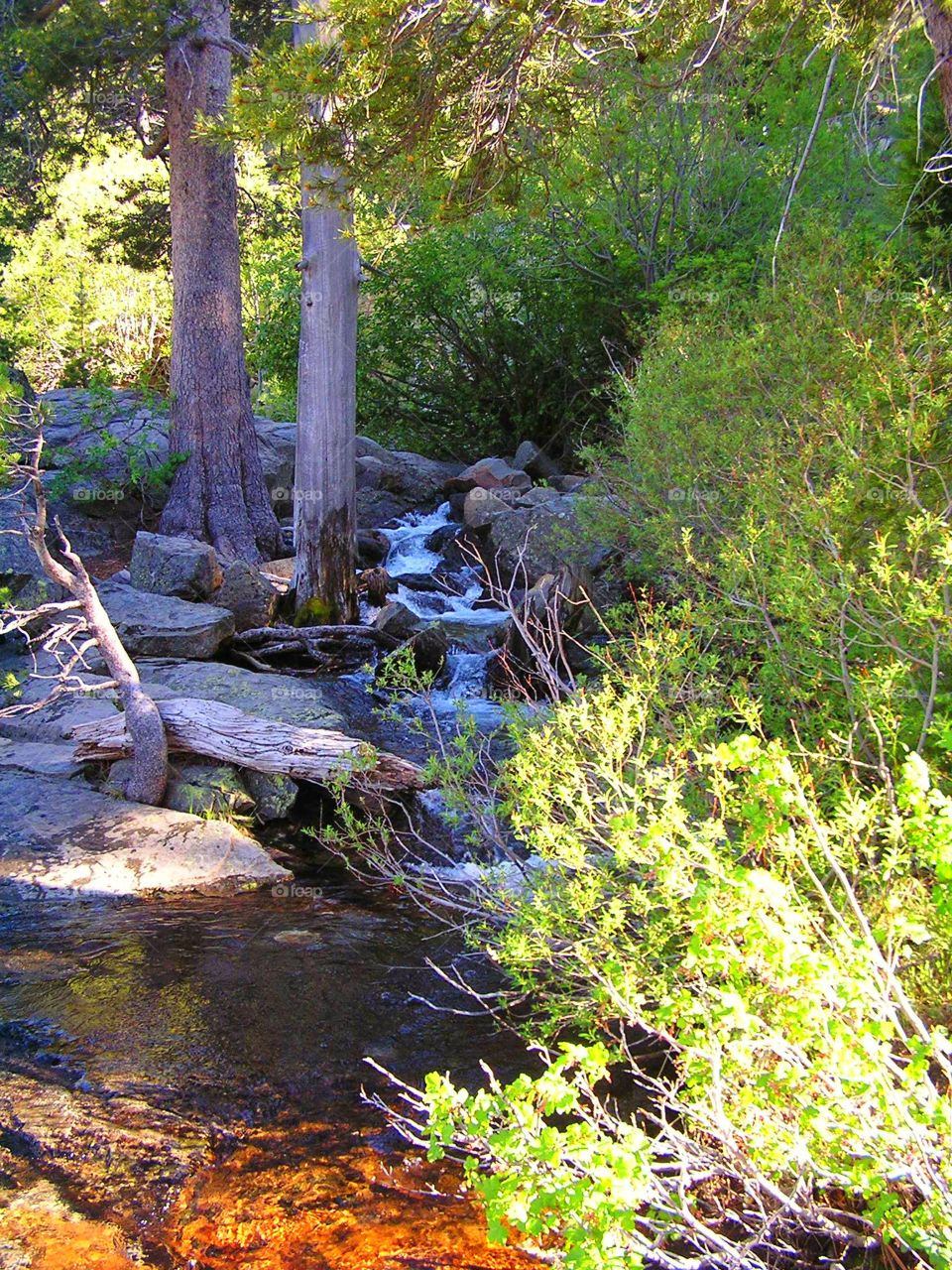 Babbling Creek. Love how nature makes its own path