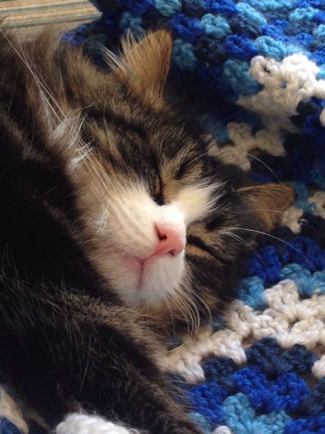 Nap time 