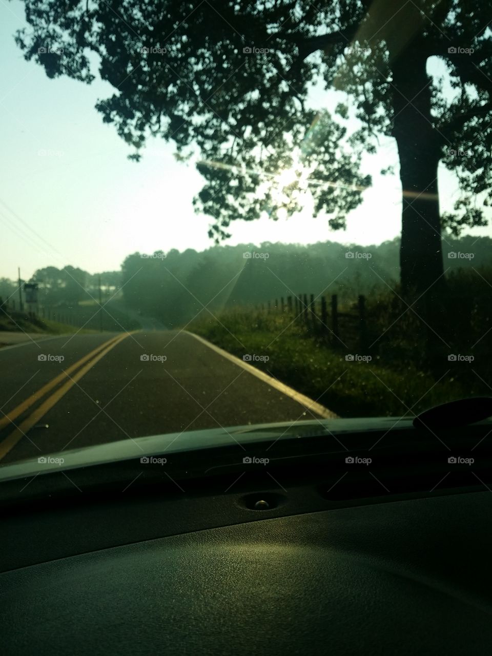 morning drive