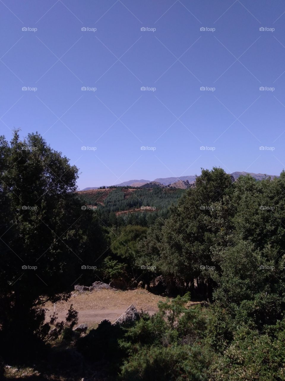 Going up to Monte Novo San Giovanni (Orgosolo, Nuoro)