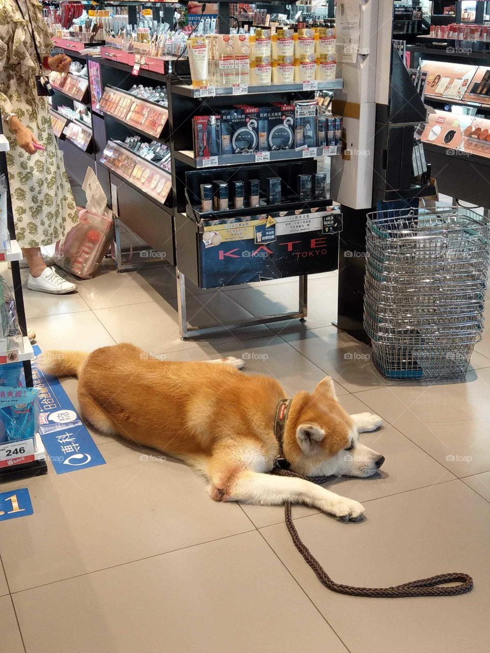Shopping is too tired.