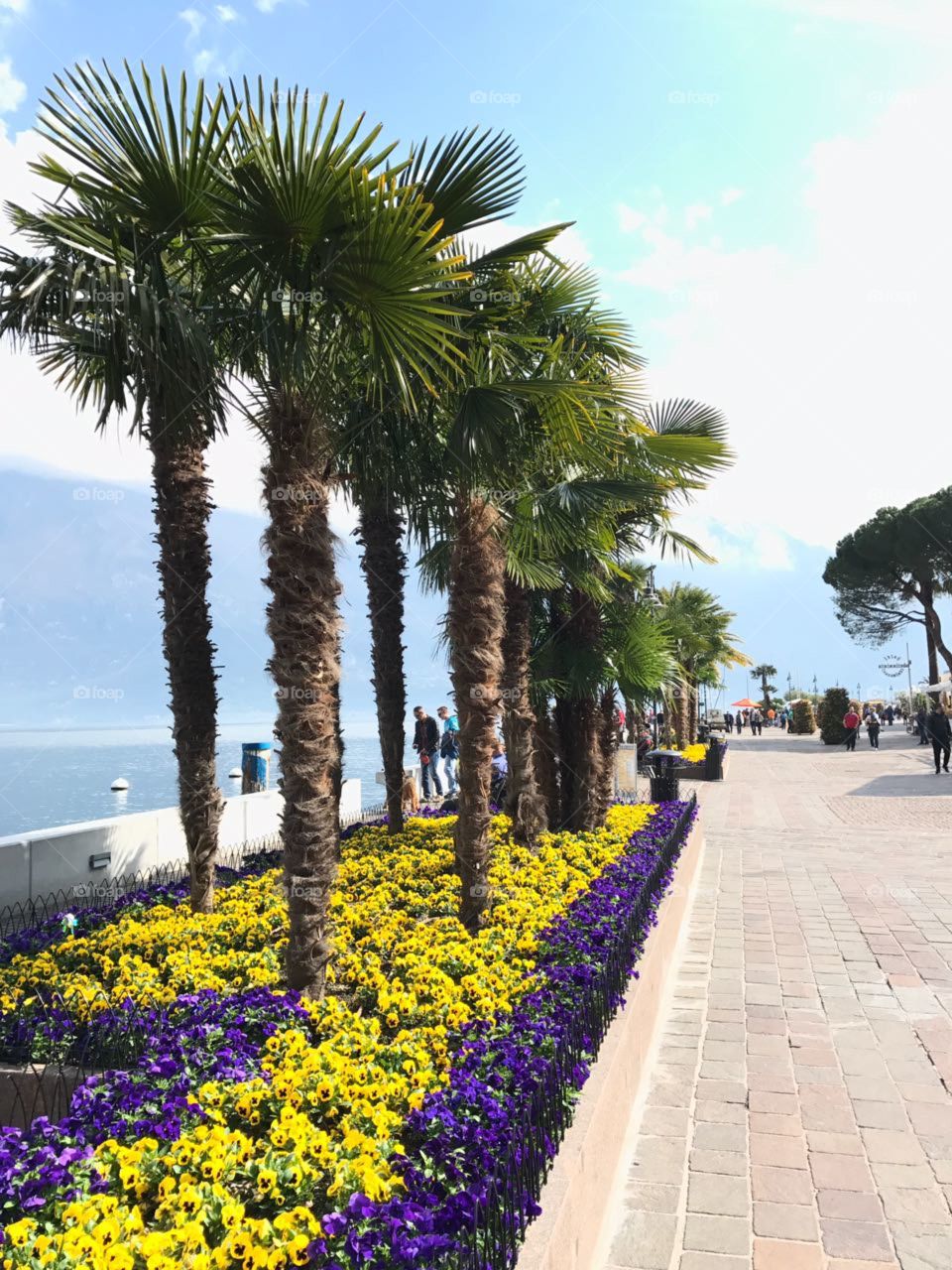 Palms and flowers on pedestrian way Limone sul Garda, Italy 